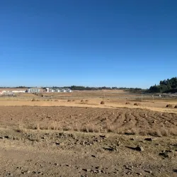 Debre Birhan Market - Debre Birhan