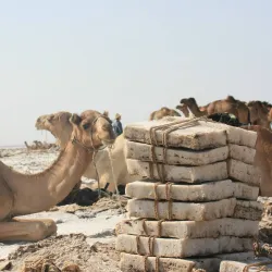 Local Highlands Hiking Trails - Debre Birhan