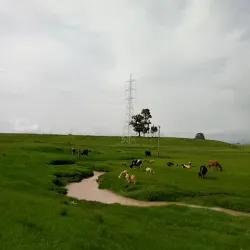 Nearby Rural Villages - Debre Birhan