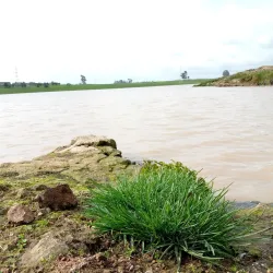Nearby Rural Villages - Debre Birhan