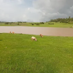 Nearby Rural Villages - Debre Birhan