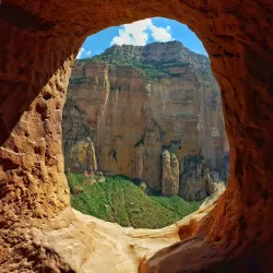 Coffee Plantations around Dilla - Dilla