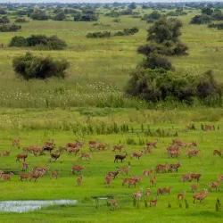 Wetlands and Bird Watching Sites - Gambela