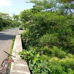 Gibe River - Nekemte (Nek'emtē)