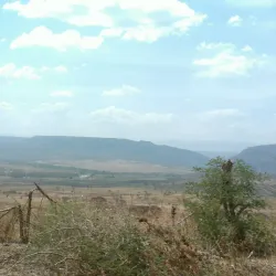 Gibe River - Nekemte (Nek'emtē)