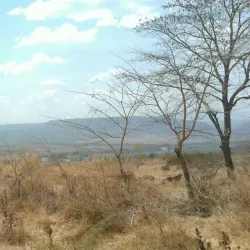 Gibe River - Nekemte (Nek'emtē)