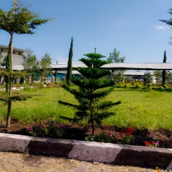 Oda Bultum Cultural Site - Nekemte (Nek'emtē)