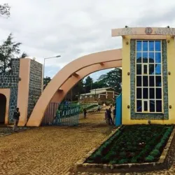 Wollega University - Nekemte (Nek'emtē)