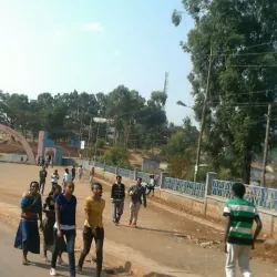 Wollega University - Nekemte (Nek'emtē)