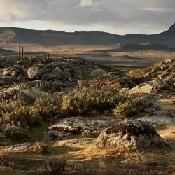 Bale Mountains National Park - Robe