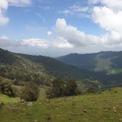 Harenna Forest - Robe