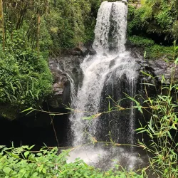 Harenna Forest - Robe