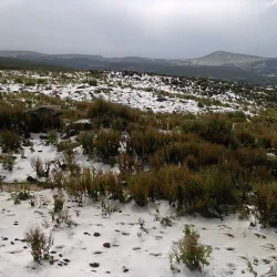 Mount Tullu Dimtu - Robe