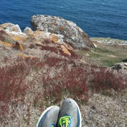 Bird Island - Port Louis South