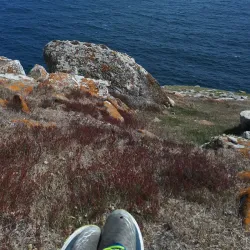 Bird Island - Port Louis South