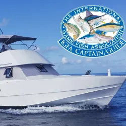 Fishing Excursions - Port Louis South