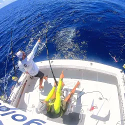 Fishing Excursions - Port Louis South