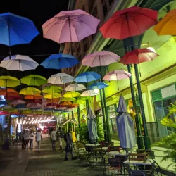 Local Art and Craft Shops - Port Louis South