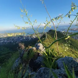 Nature Walks and Hiking - Port Louis South