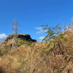 Nature Walks and Hiking - Port Louis South