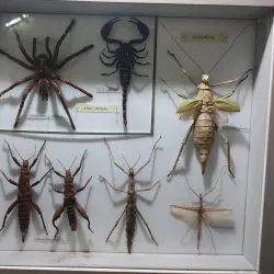 Port Louis Museum - Port Louis South