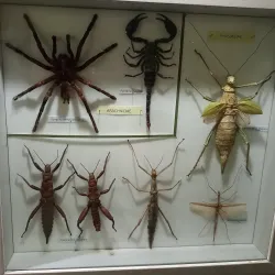 Port Louis Museum - Port Louis South