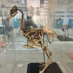 Port Louis Museum - Port Louis South