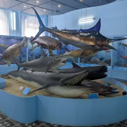 Port Louis Museum - Port Louis South