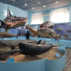 Port Louis Museum - Port Louis South