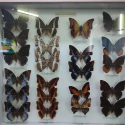 Port Louis Museum - Port Louis South