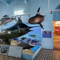 Port Louis Museum - Port Louis South