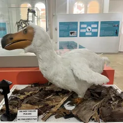 Port Louis Museum - Port Louis South