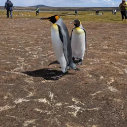 Wildlife Watching - Port Louis South