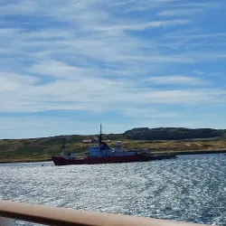 Wildlife Watching - Port Louis South