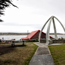 Wildlife Watching - Port Louis South
