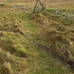 Sandoy Island Hiking Trails - Dalur