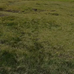 Hiking Trails Around Eidi - Eidi