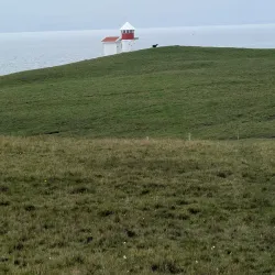 Birdwatching Sites - Husavik