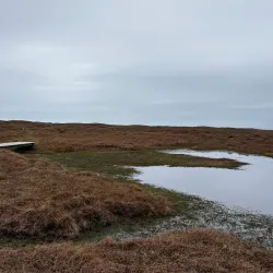 Birdwatching Sites - Husavik