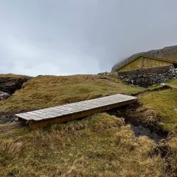 Birdwatching Sites - Husavik