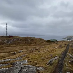 Birdwatching Sites - Husavik