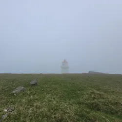 Birdwatching Sites - Husavik