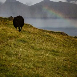 Coastal Hiking Trails - Husavik