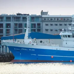 Fishing and Seafood - Husavik