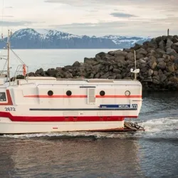 Fishing and Seafood - Husavik