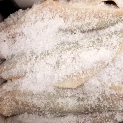 Fishing and Seafood - Husavik