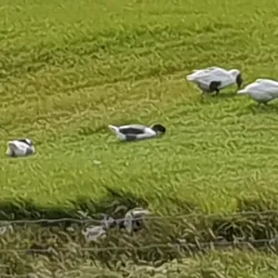 Husavik Harbor - Husavik