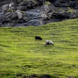 Nearby Fjords Exploration - Husavik