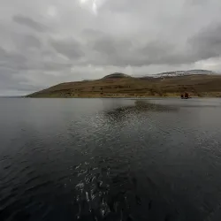 Bakkafrost Fish Factory Tour - Klaksvik