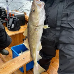 Fishing Experiences - Lambi